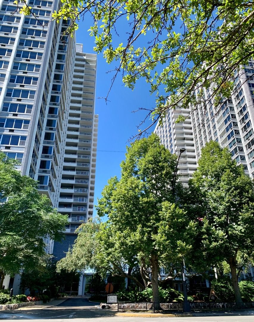 4250 N Marine Drive #828 — Chicago, IL 60613