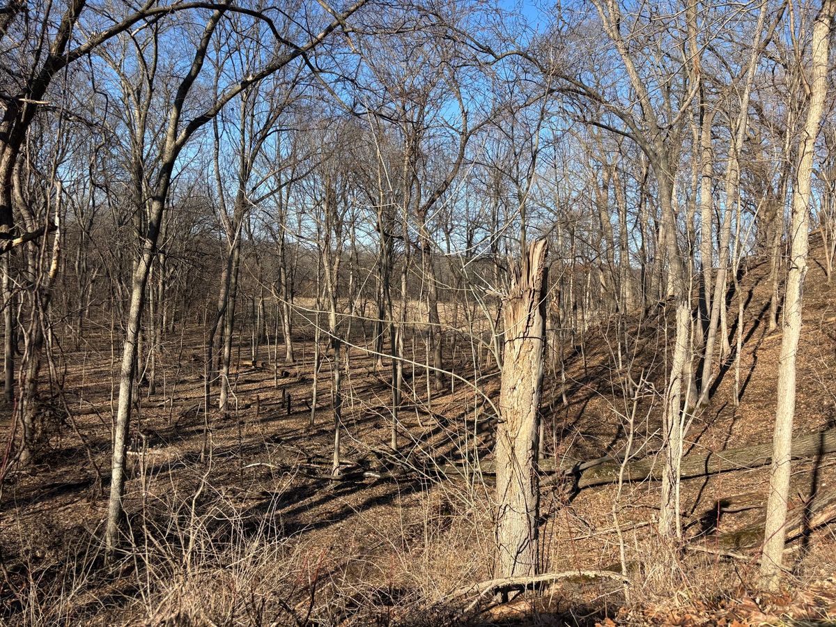 1784 Tanglewood Drive, Varna, IL 61375