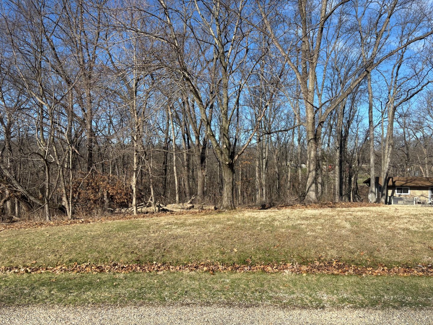 1668 Lakeside Court — Varna, IL 61375