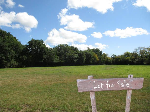 428 Natoma Avenue, Addison, IL 60101