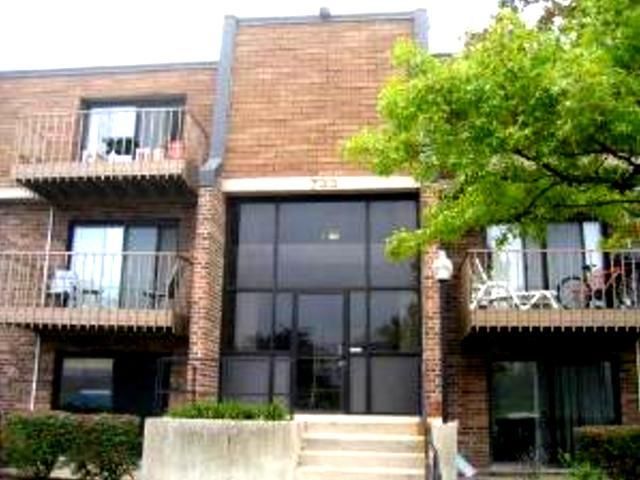 733 LIMERICK Lane #3D — Schaumburg, IL 60193