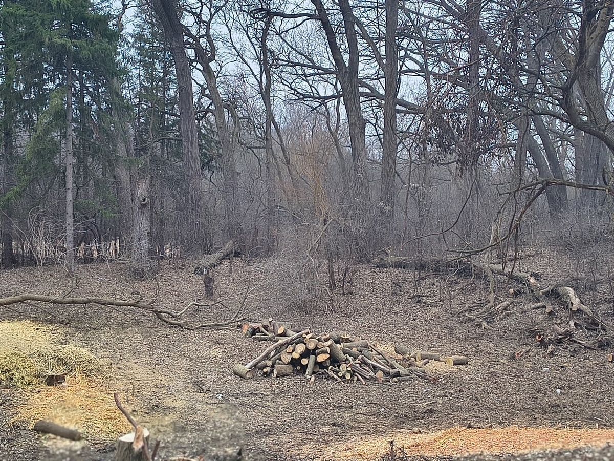 Lot 1 Asbury Avenue, Fox River Grove, IL 60021