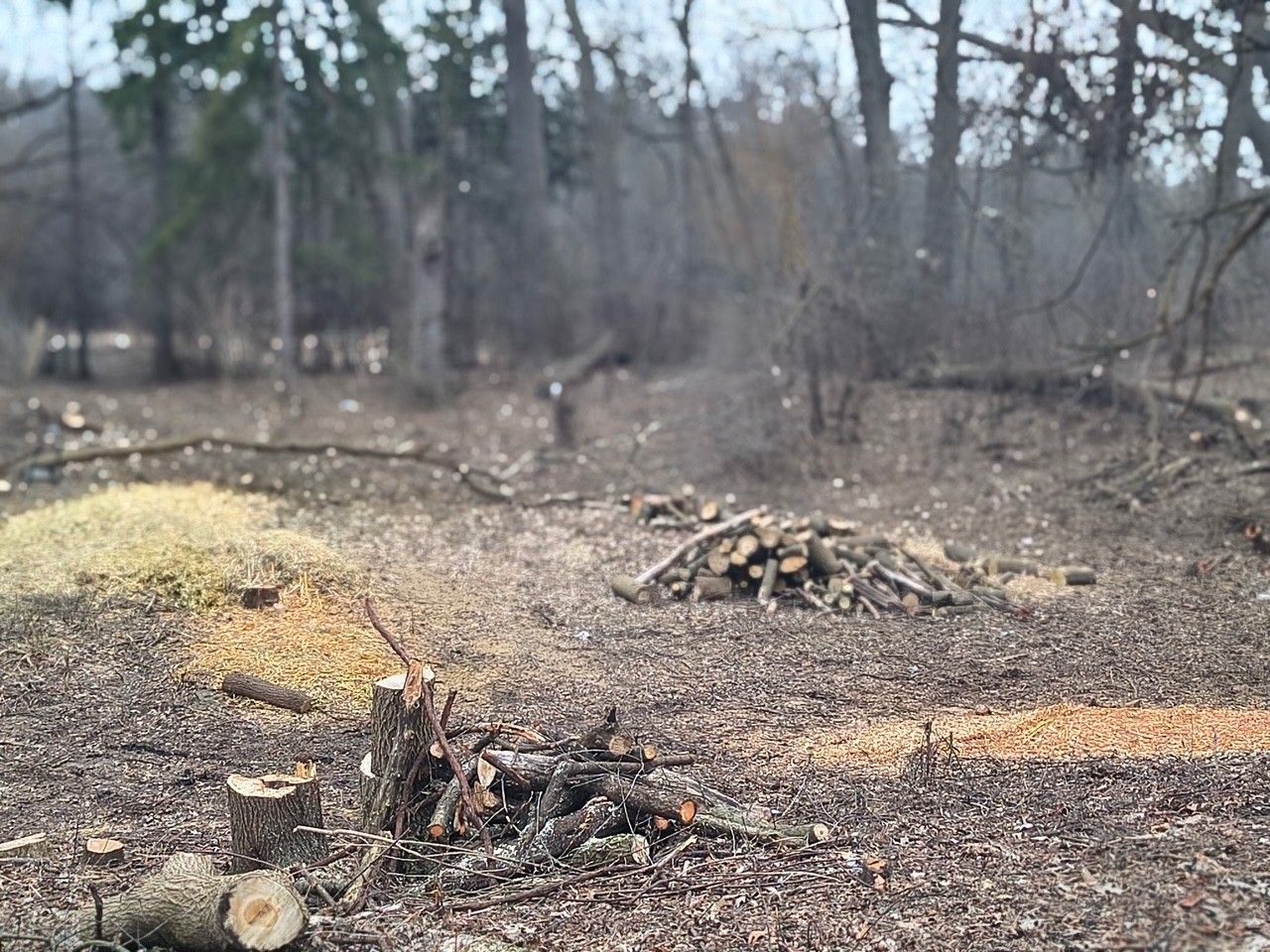 Lot 1 Asbury Avenue — Fox River Grove, IL 60021
