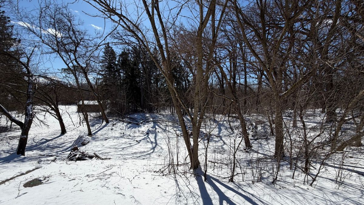 Lot 1 Asbury Avenue, Fox River Grove, IL 60021
