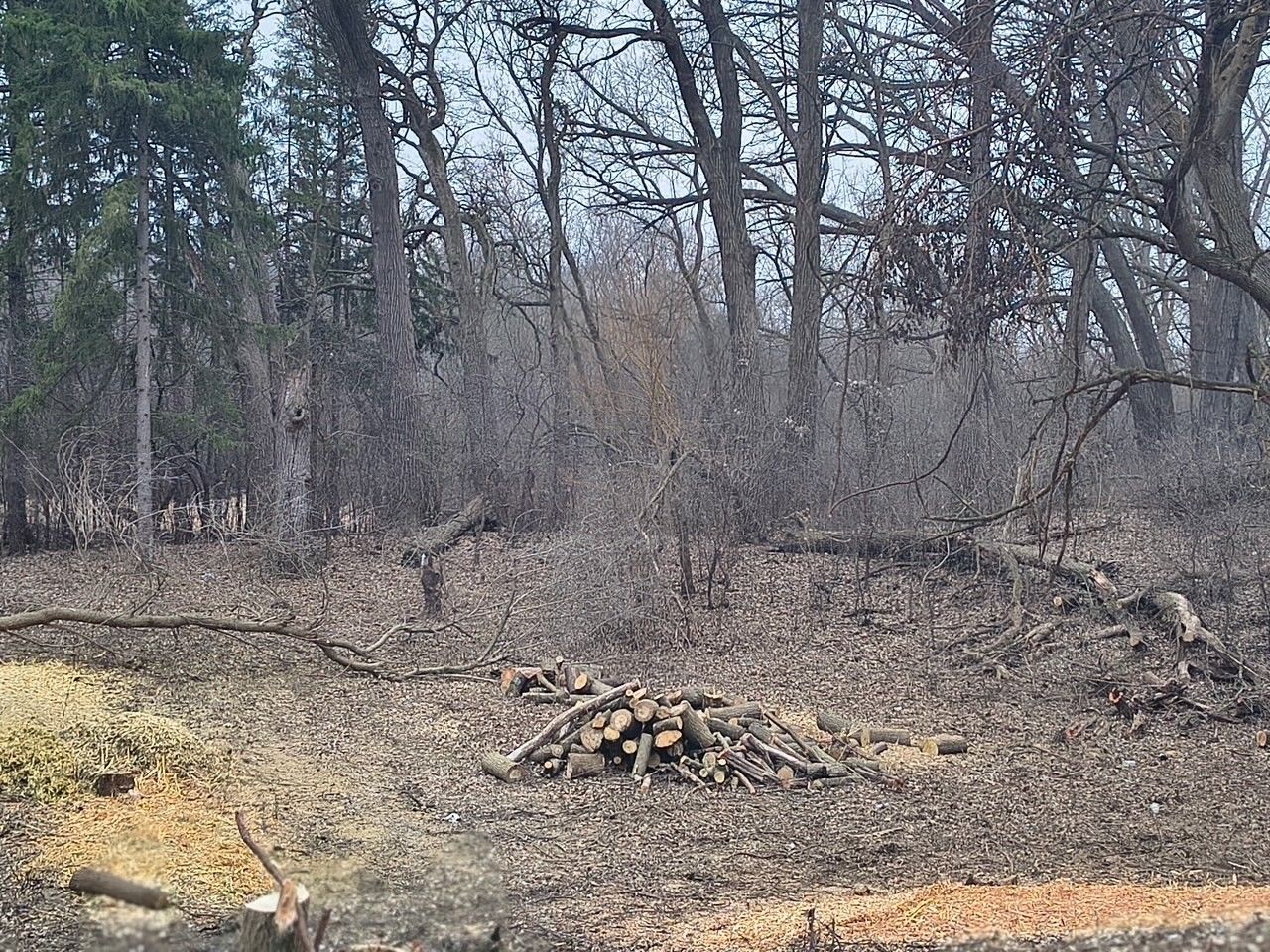 LOT 2 Asbury Avenue — Fox River Grove, IL 60021