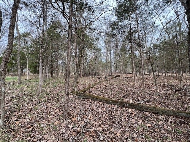 Lot 1234 Indian Camp Drive, Goreville, IL 62939