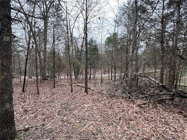 Lot 1234 Indian Camp Drive, Goreville, IL 62939