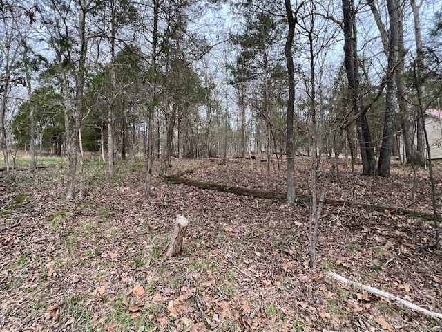 Lot 1234 Indian Camp Drive, Goreville, IL 62939