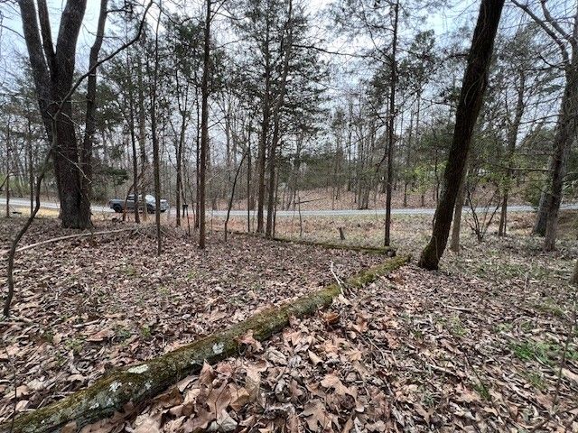 Lot 1234 Indian Camp Drive, Goreville, IL 62939