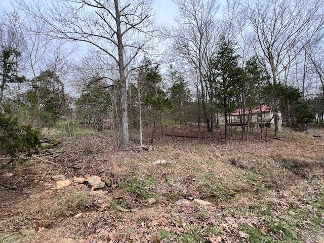 Lot 1234 Indian Camp Drive, Goreville, IL 62939
