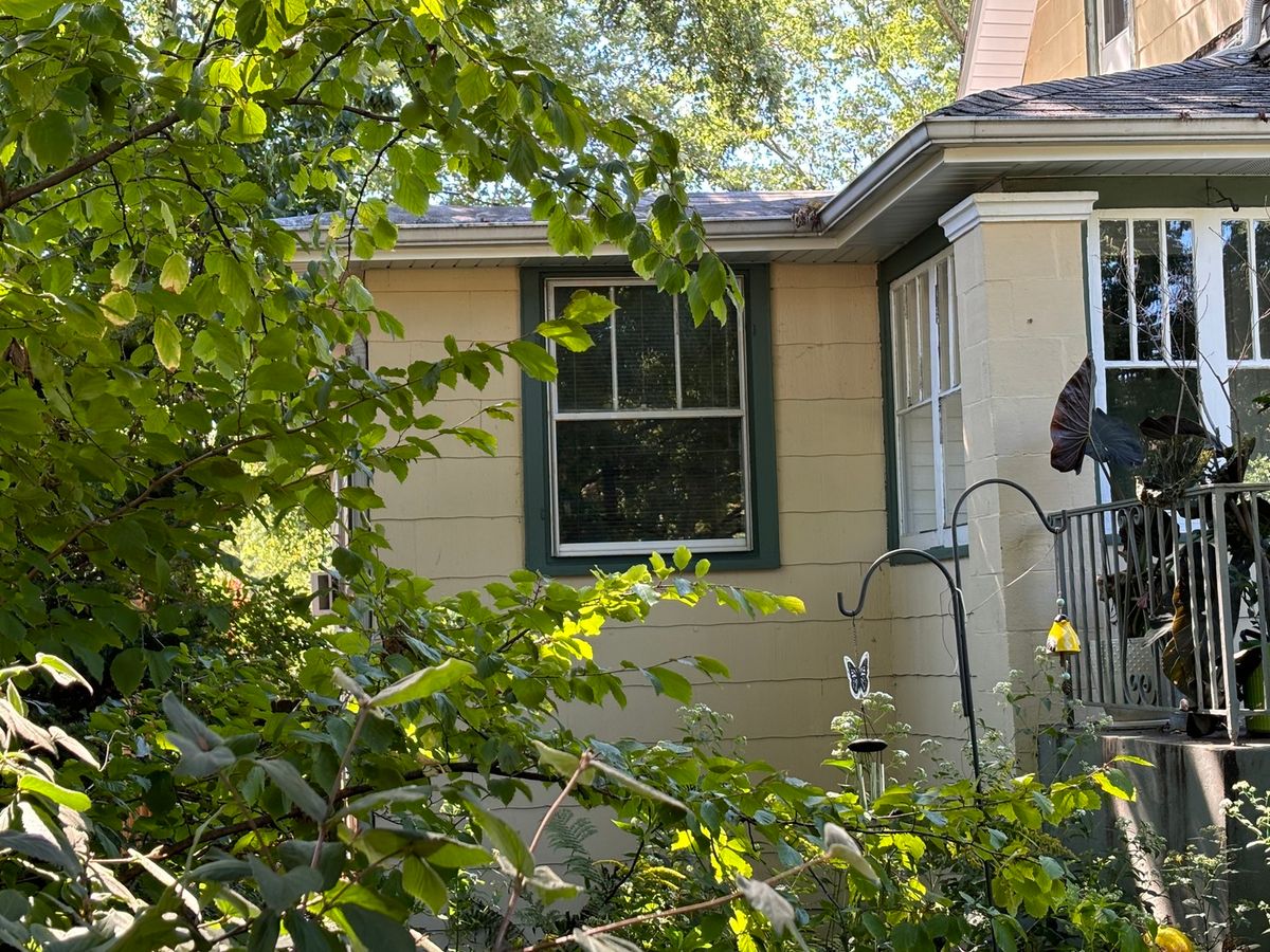 1806 Colfax Street, Evanston, IL 60201