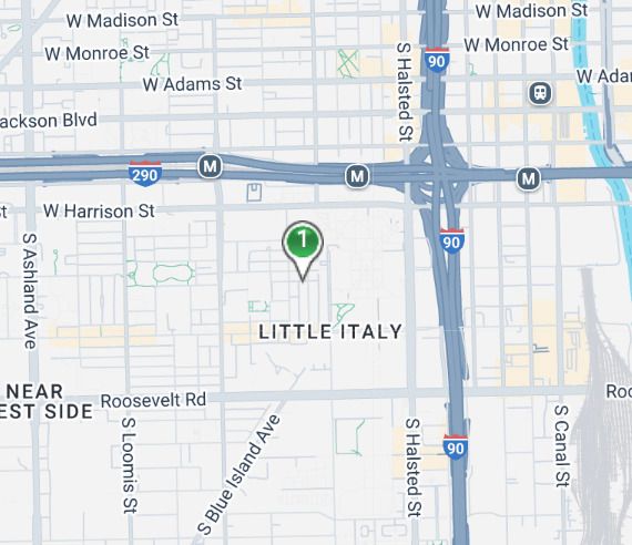818 S Miller Street — Chicago, IL 60607