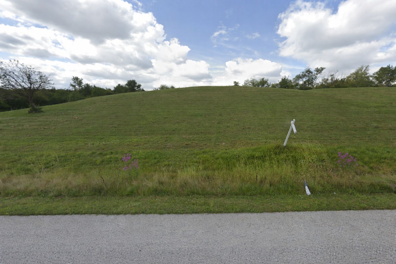 39600 Orchard Bluff Lane — Wadsworth, IL 60083