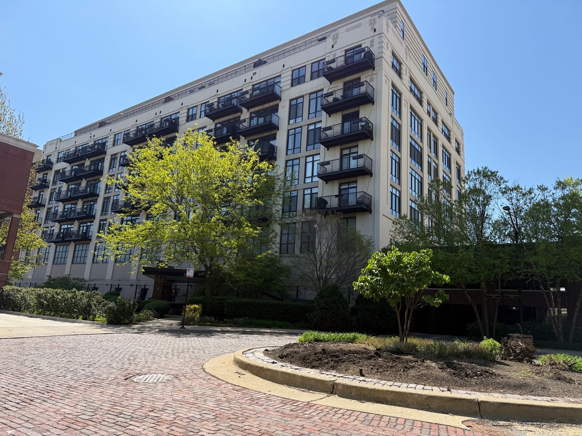 1525 Sangamon Street, Chicago, IL 60608