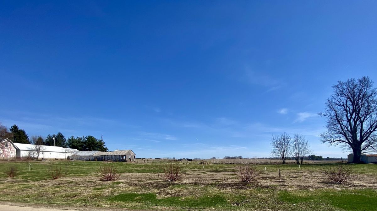 301 South Maple Street, Wyanet, IL 61379
