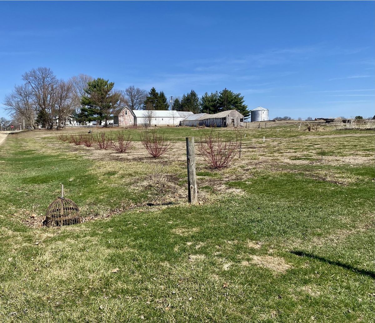 301 South Maple Street, Wyanet, IL 61379