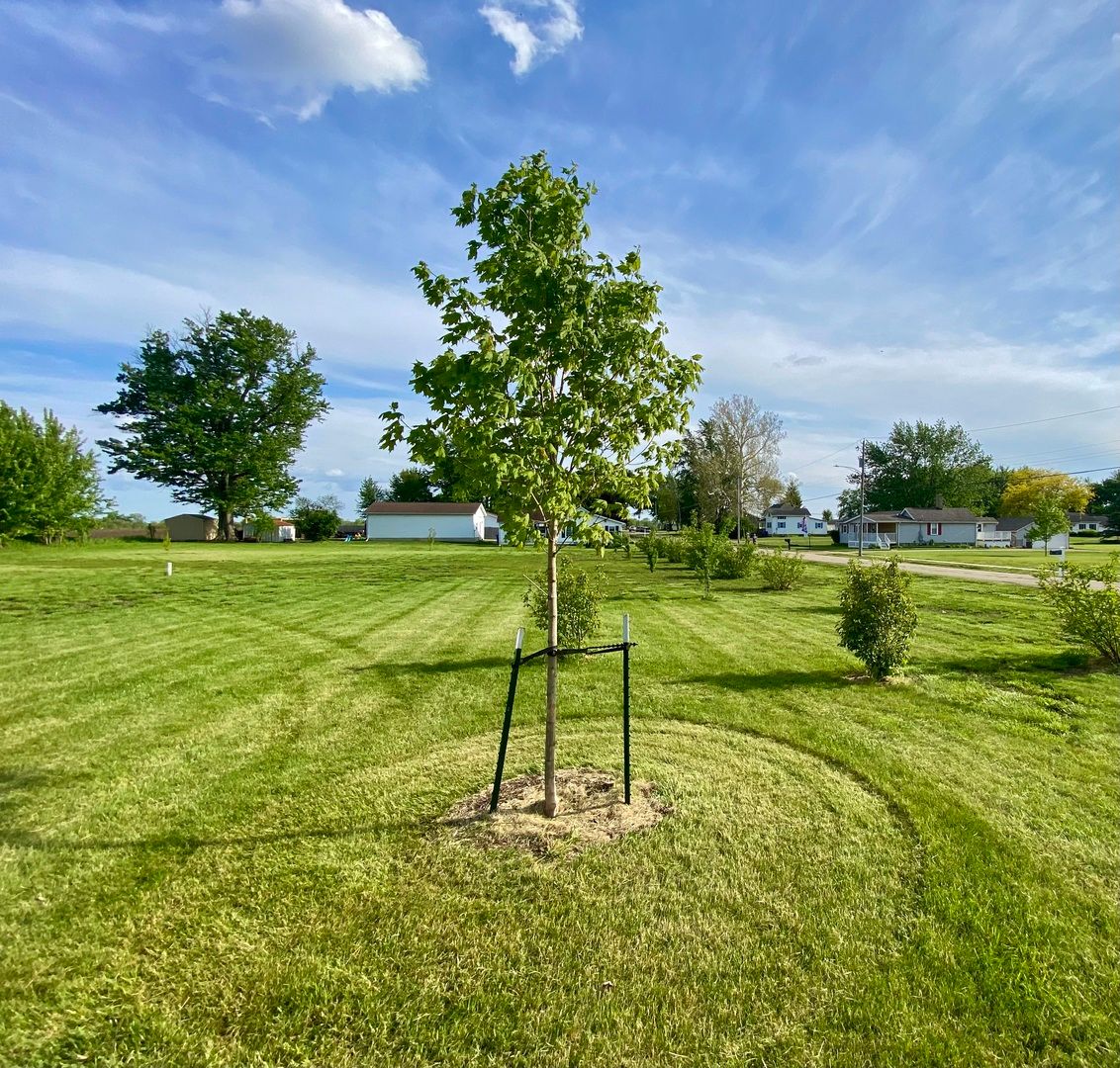 301 South Maple Street, Wyanet, IL 61379