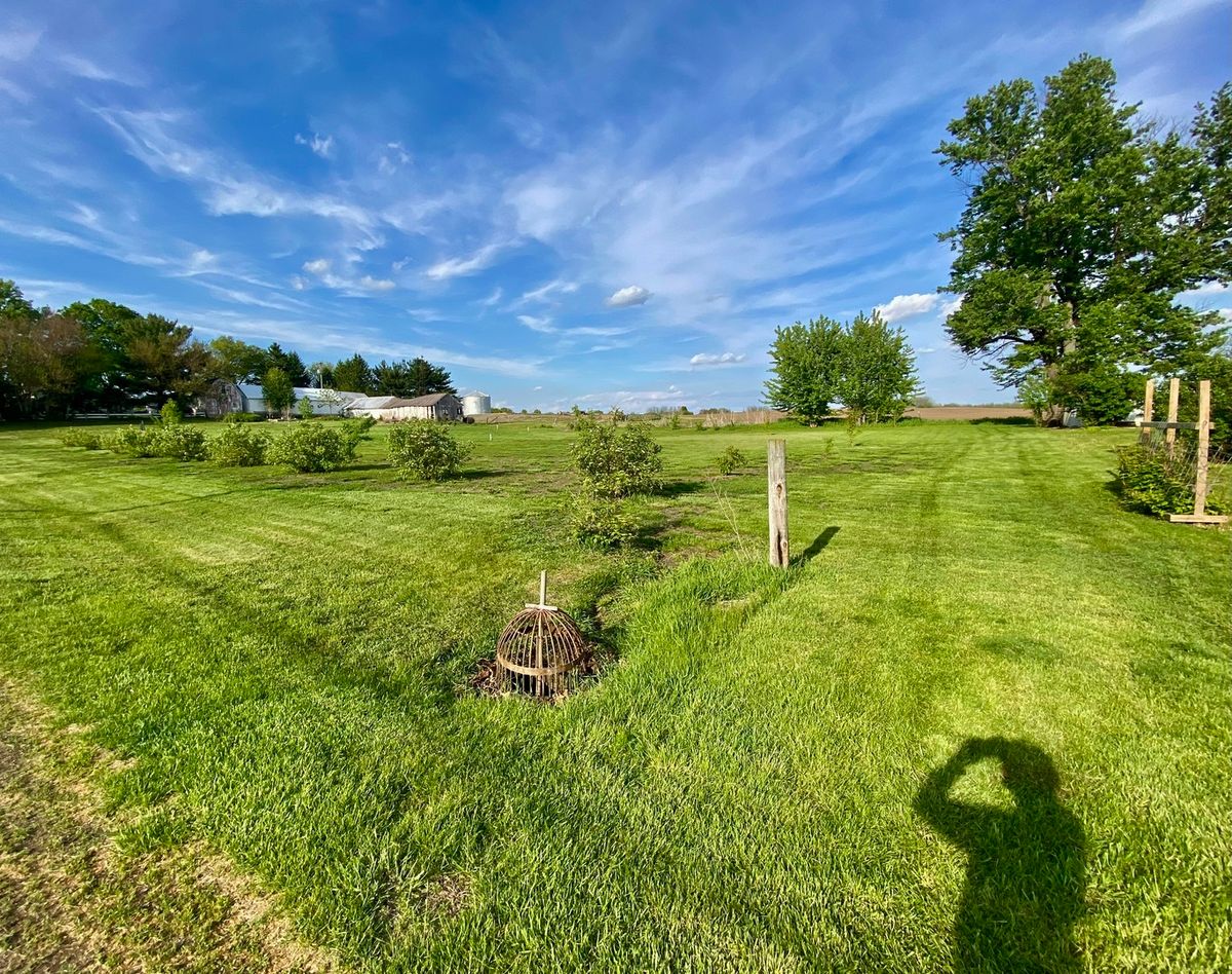 301 South Maple Street, Wyanet, IL 61379