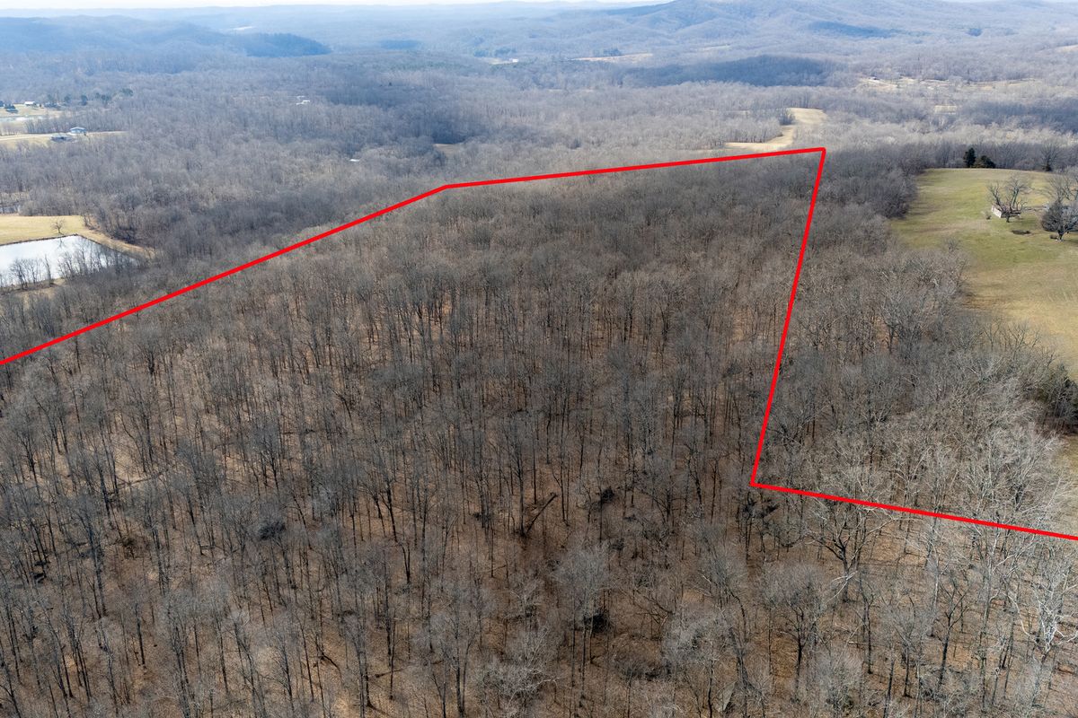 1425 Skyline Drive, Cobden, IL 62920