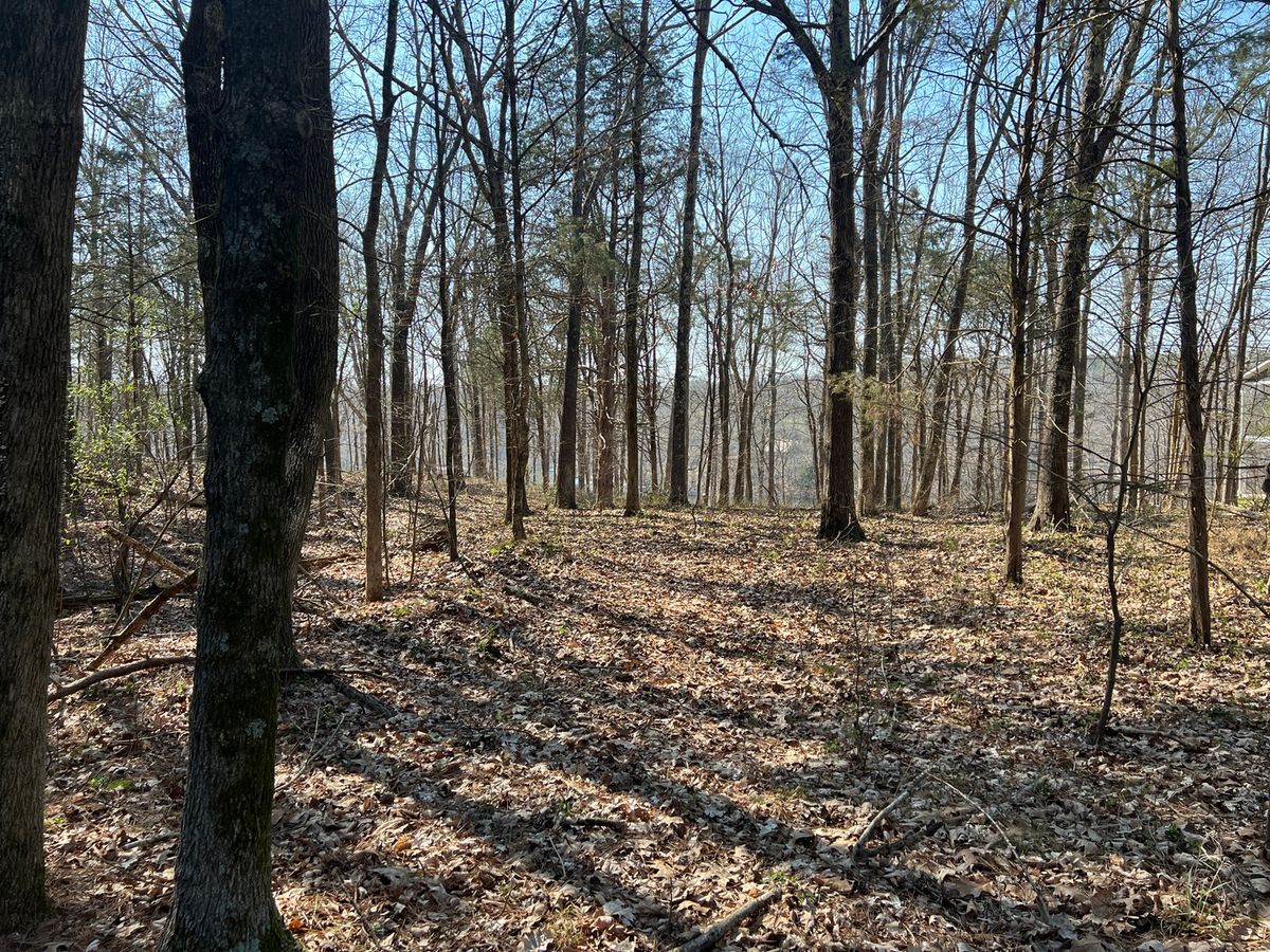 Lot 139 Cherry Point, Goreville, IL 62939