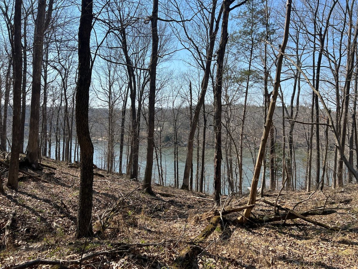 Lot 139 Cherry Point, Goreville, IL 62939