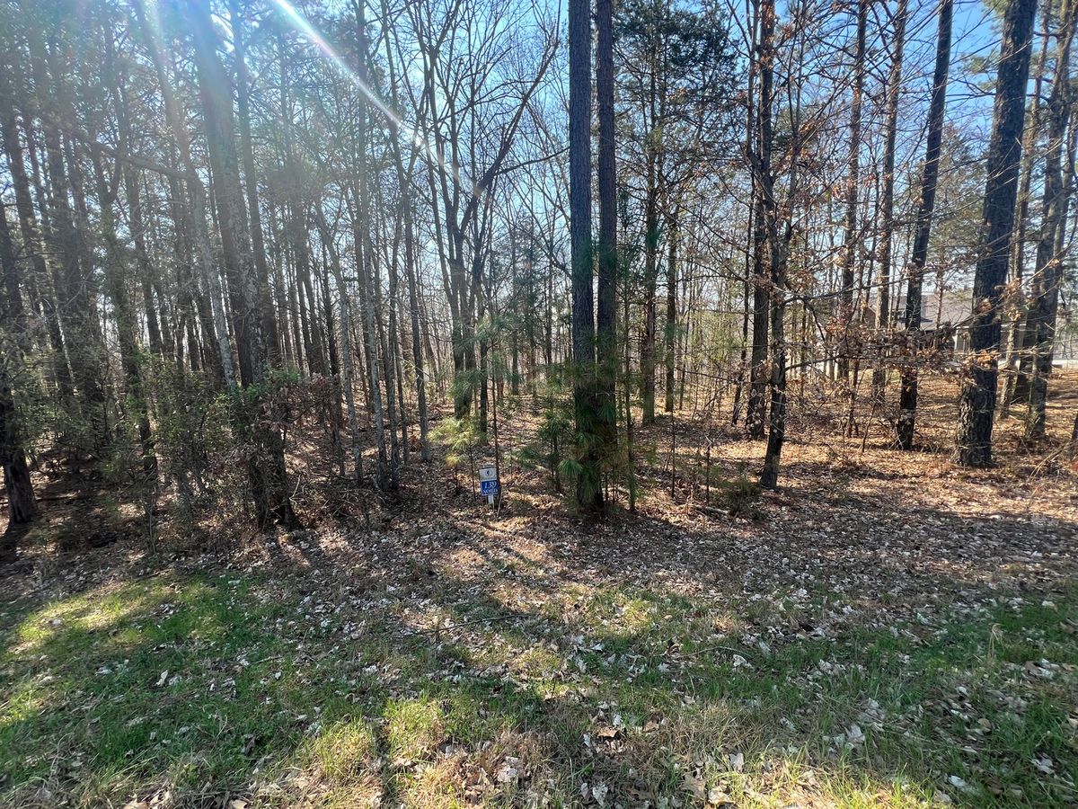 Lot 139 Cherry Point, Goreville, IL 62939