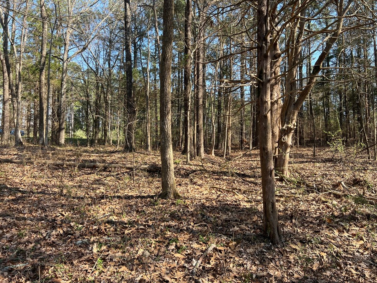 Lot 139 Cherry Point, Goreville, IL 62939