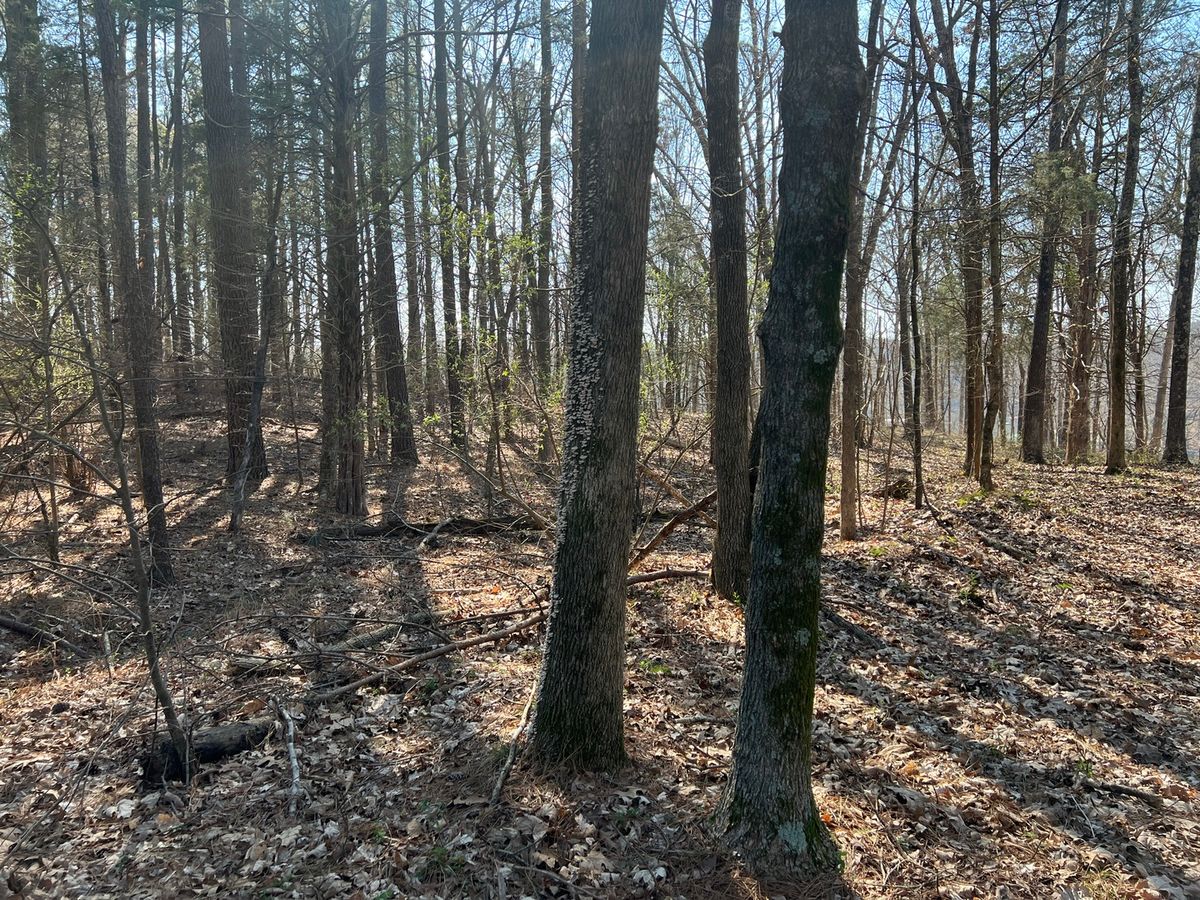 Lot 139 Cherry Point, Goreville, IL 62939