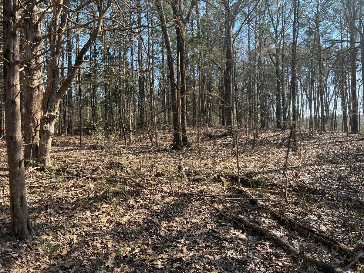 Lot 139 Cherry Point, Goreville, IL 62939