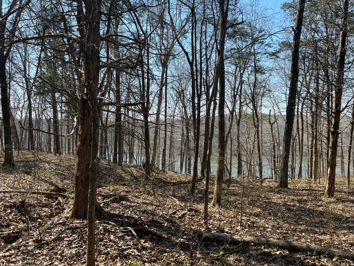 Lot 139 Cherry Point, Goreville, IL 62939