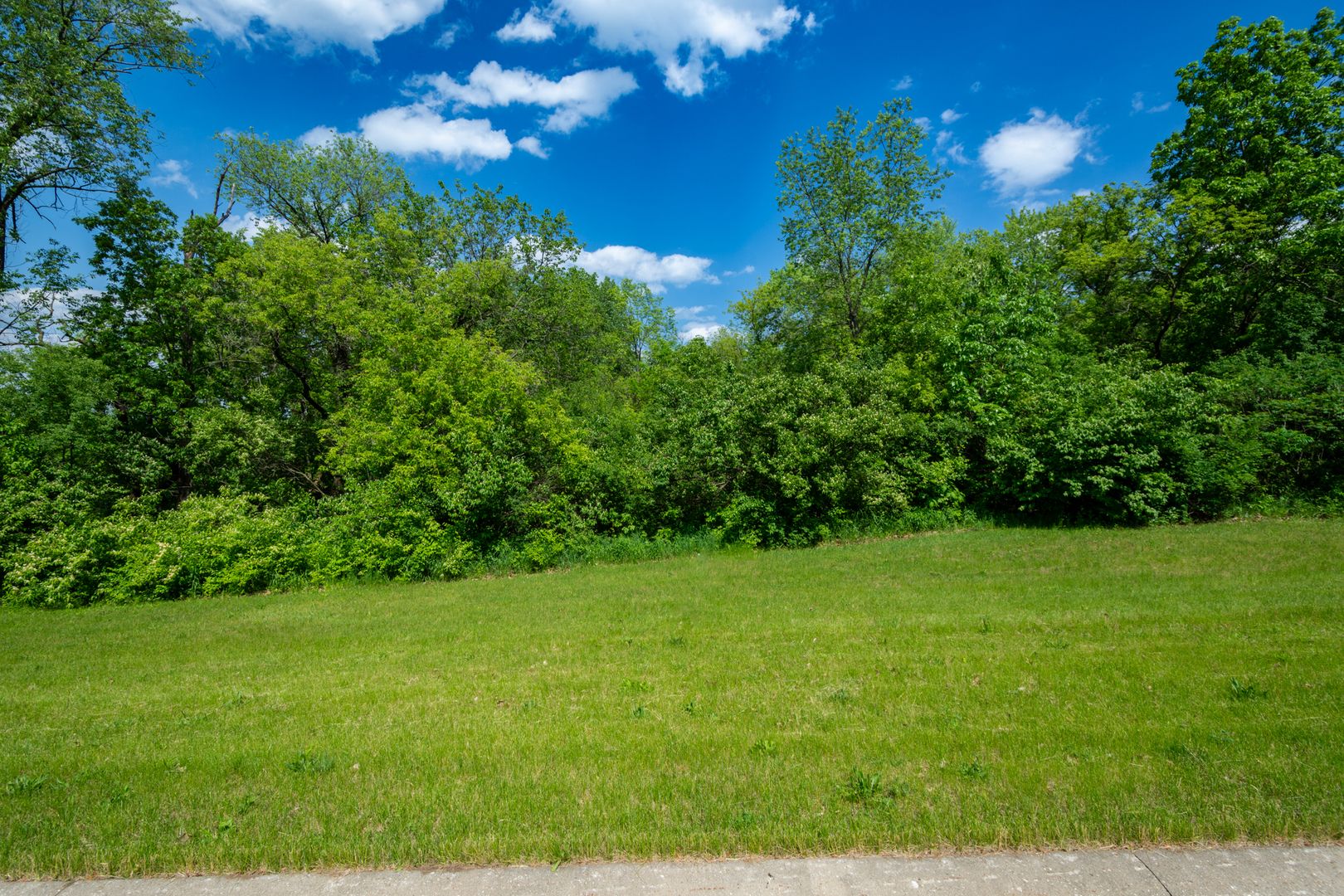 7373 English Oak Lane — Spring Grove, IL 60081