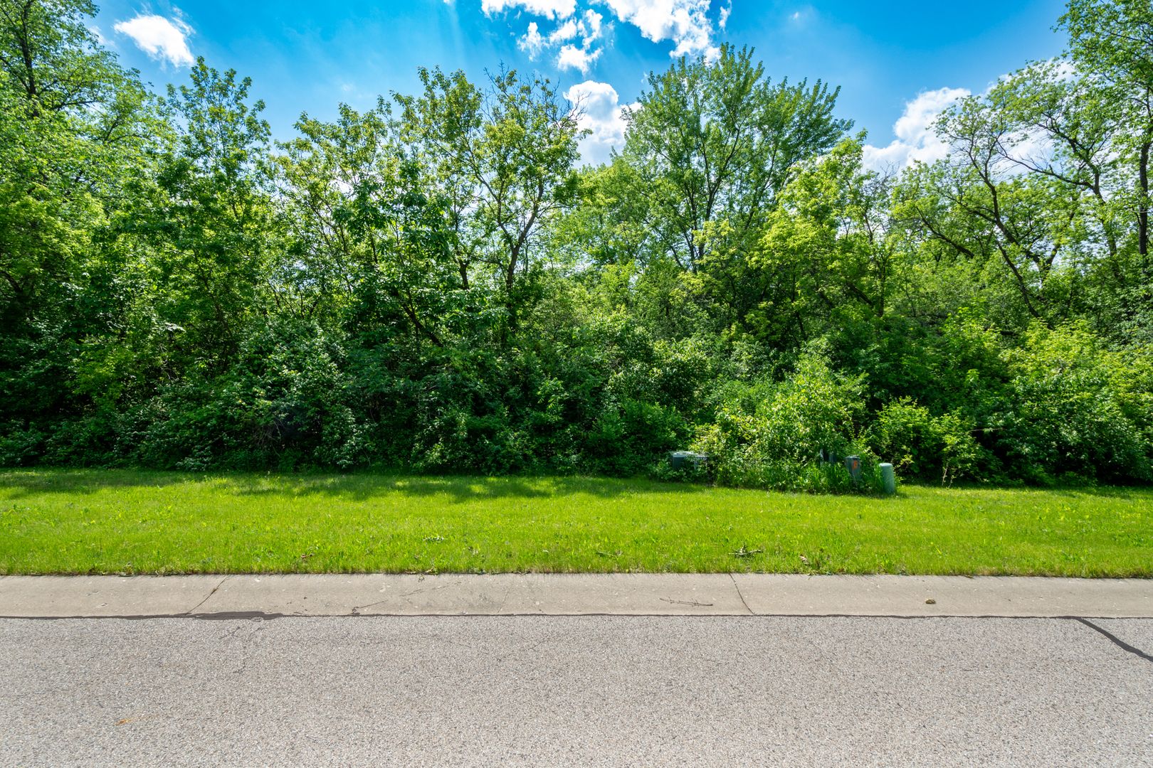 7377 English Oak Lane — Spring Grove, IL 60081