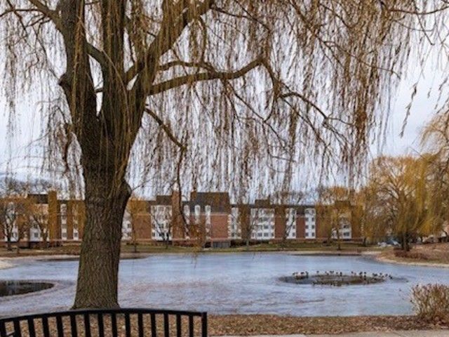 225 Lake Boulevard, Buffalo Grove, IL 60089