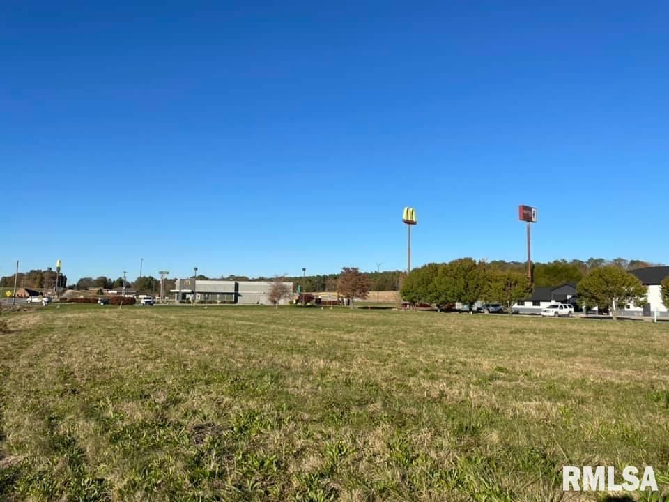 0 Old Metropolis Road, Vienna, IL 62995