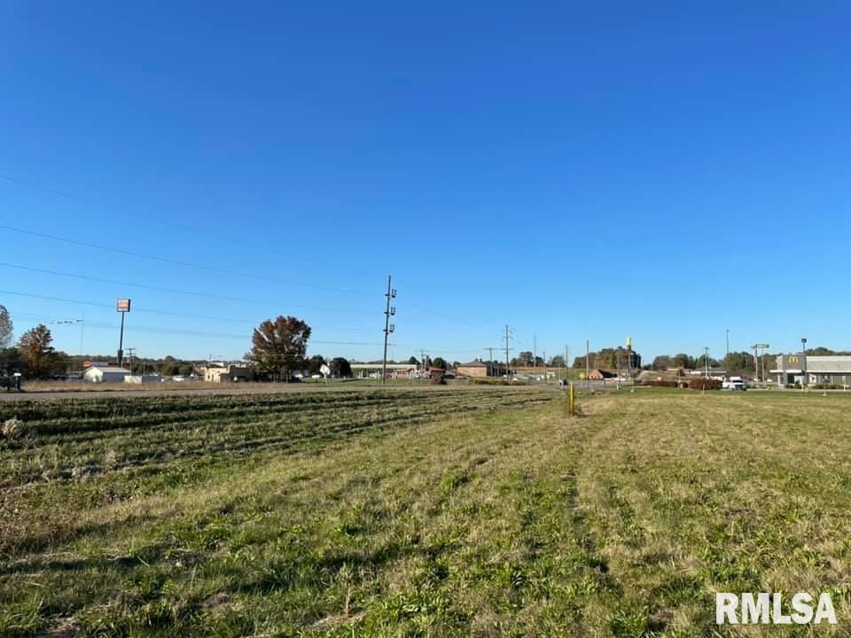 0 Old Metropolis Road, Vienna, IL 62995