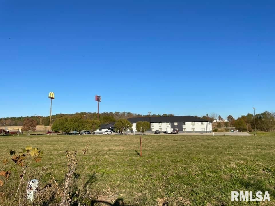 0 Old Metropolis Road, Vienna, IL 62995