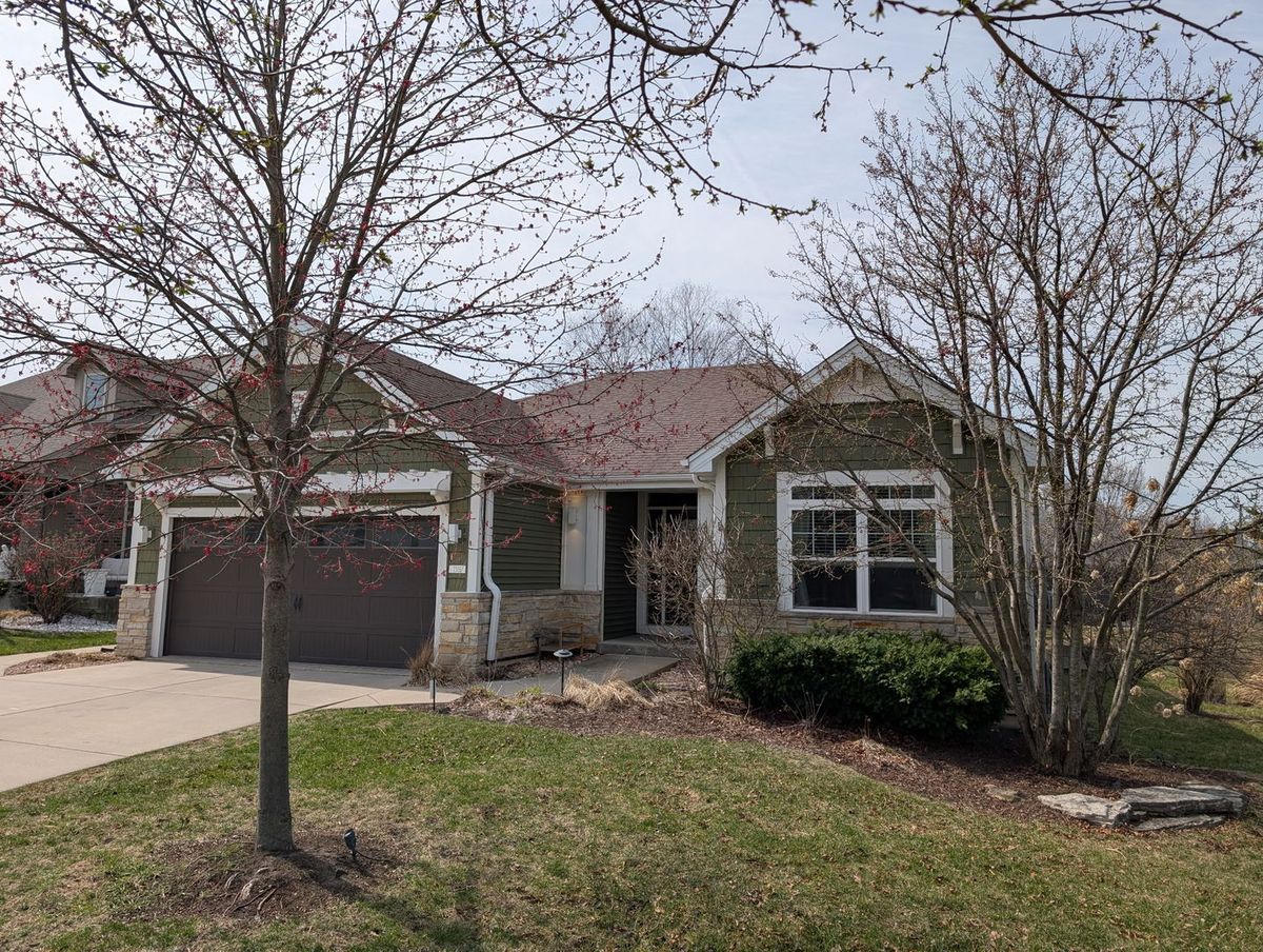 1315 Hosmer Street, Joliet, IL 60435