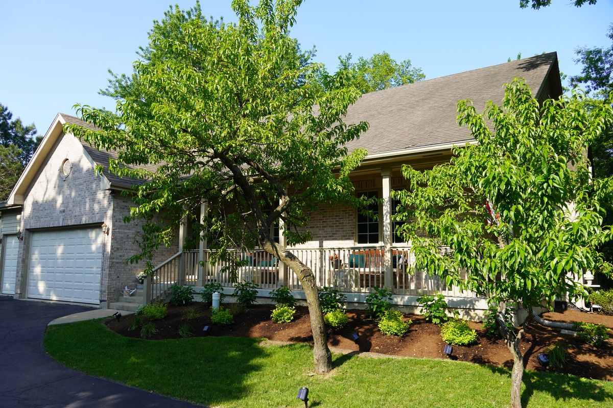 8690 Shade Tree Circle, Lakewood, IL 60014