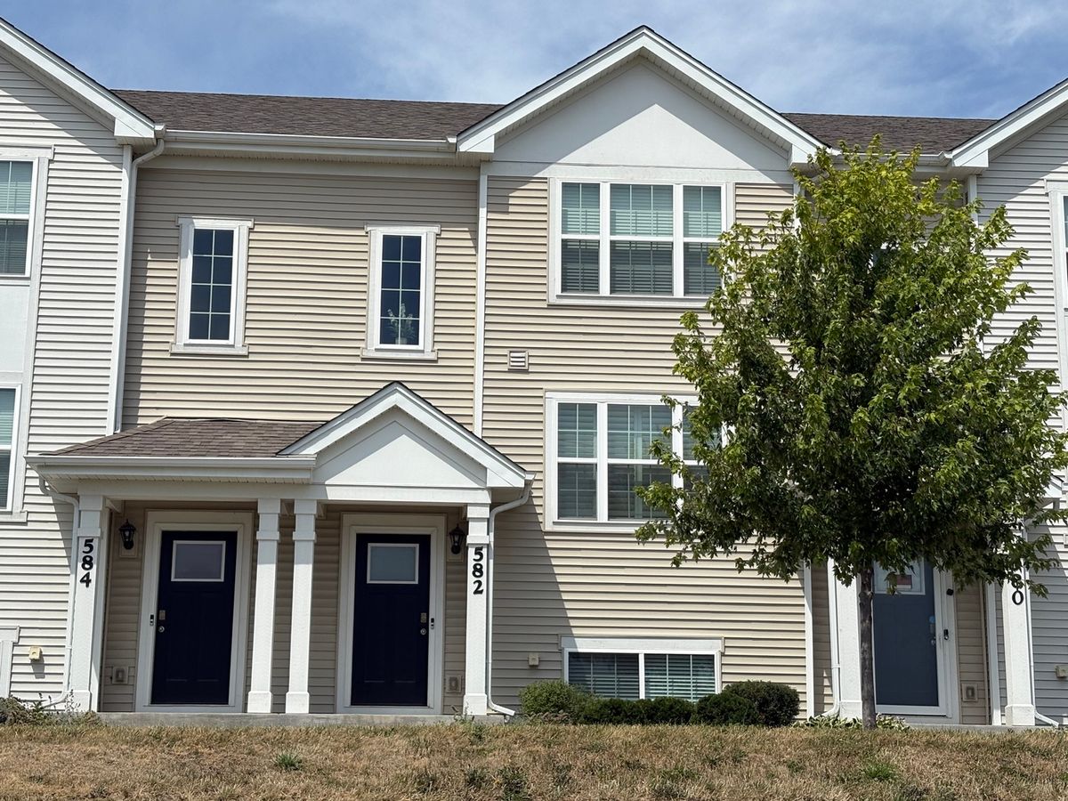 582 Spring Leaf Drive, Joliet, IL 60431
