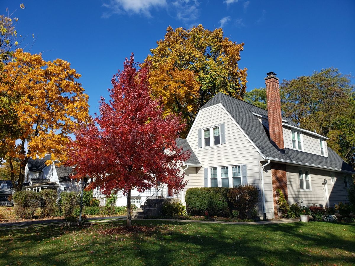 5433 BROOKBANK Road, Downers Grove, IL 60515