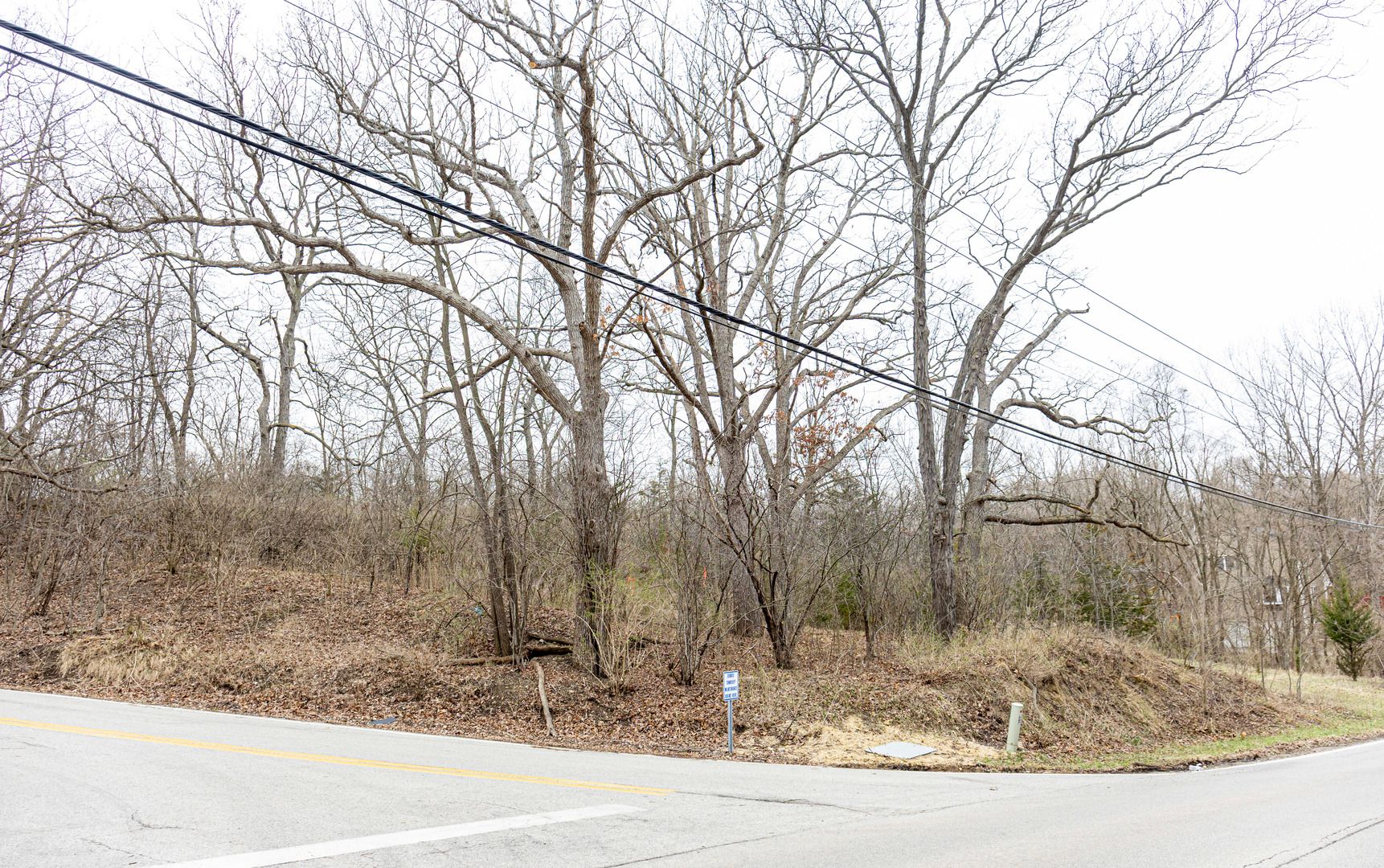 LOT 19 & LOT 18 Williams Road — Lake Marian, IL 60110