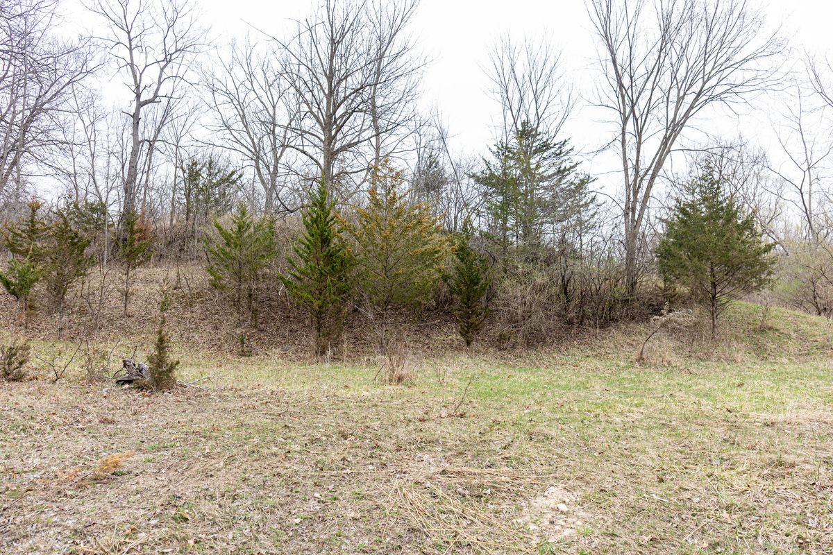 LOT 19 & LOT 18 Williams Road, Lake Marian, IL 60110