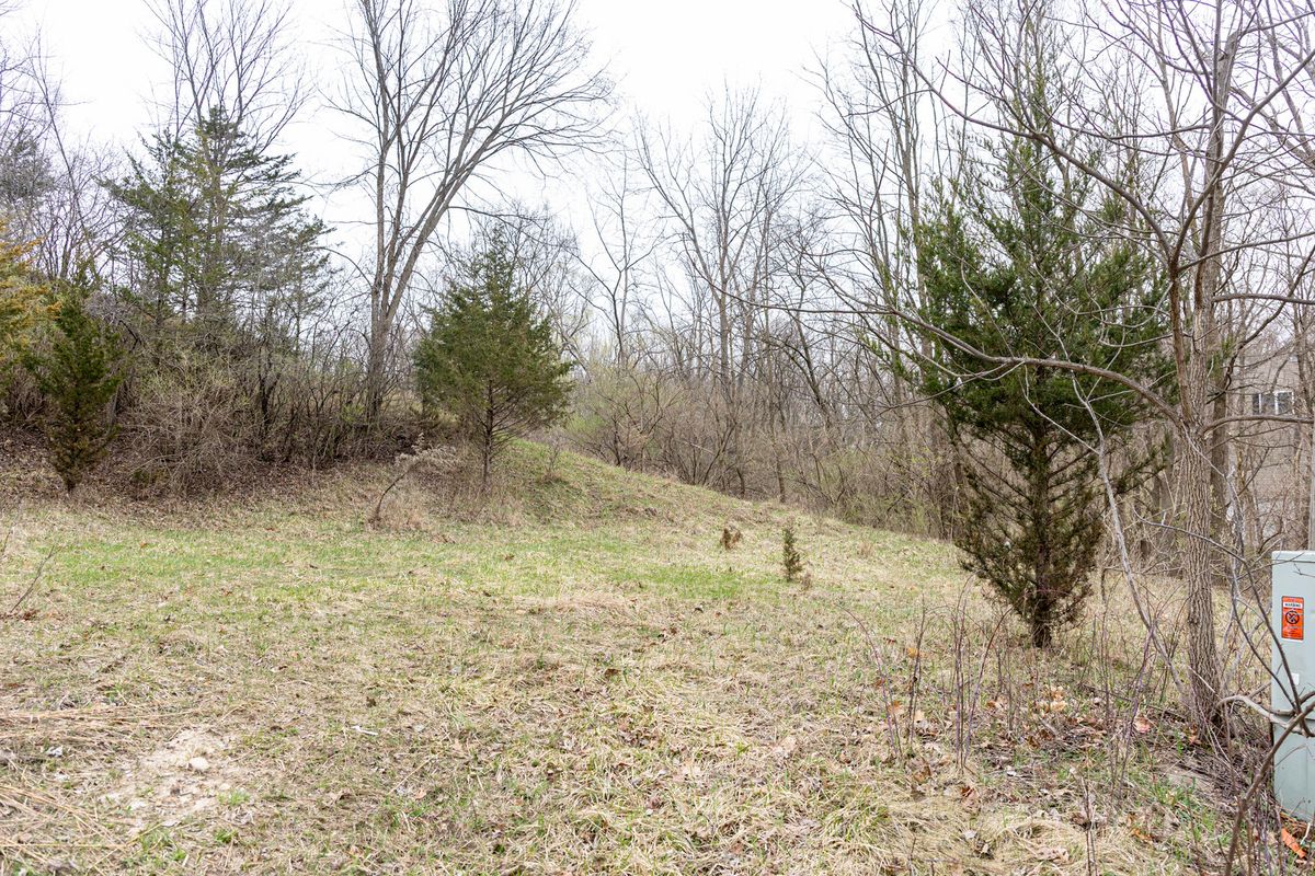 LOT 19 & LOT 18 Williams Road, Lake Marian, IL 60110