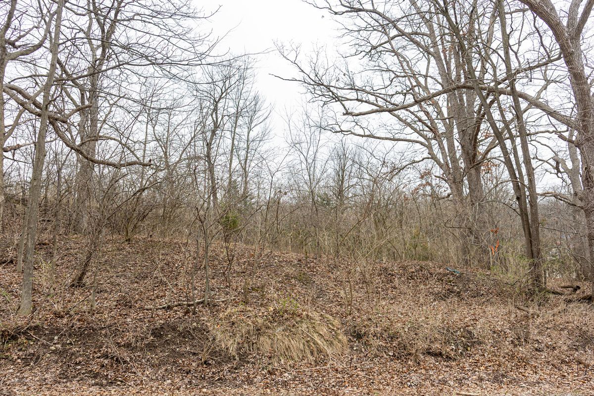 LOT 19 & LOT 18 Williams Road, Lake Marian, IL 60110