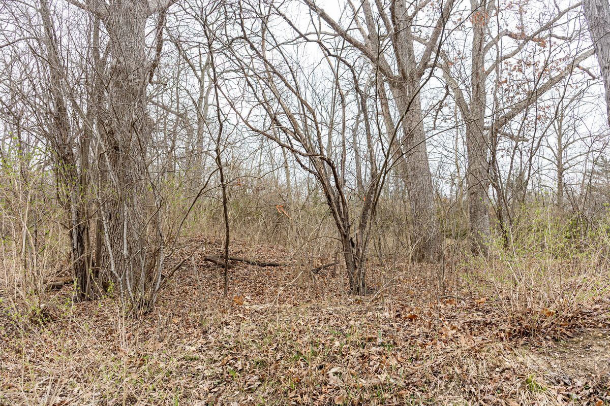 LOT 19 & LOT 18 Williams Road, Lake Marian, IL 60110