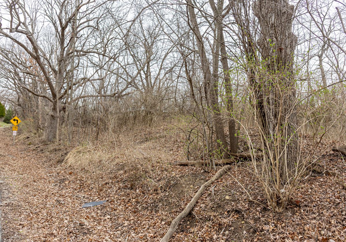 LOT 19 & LOT 18 Williams Road, Lake Marian, IL 60110