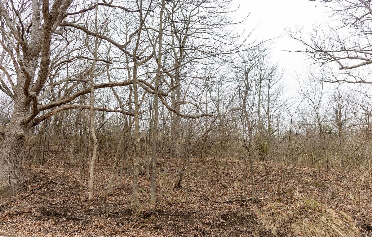 LOT 19 & LOT 18 Williams Road, Lake Marian, IL 60110