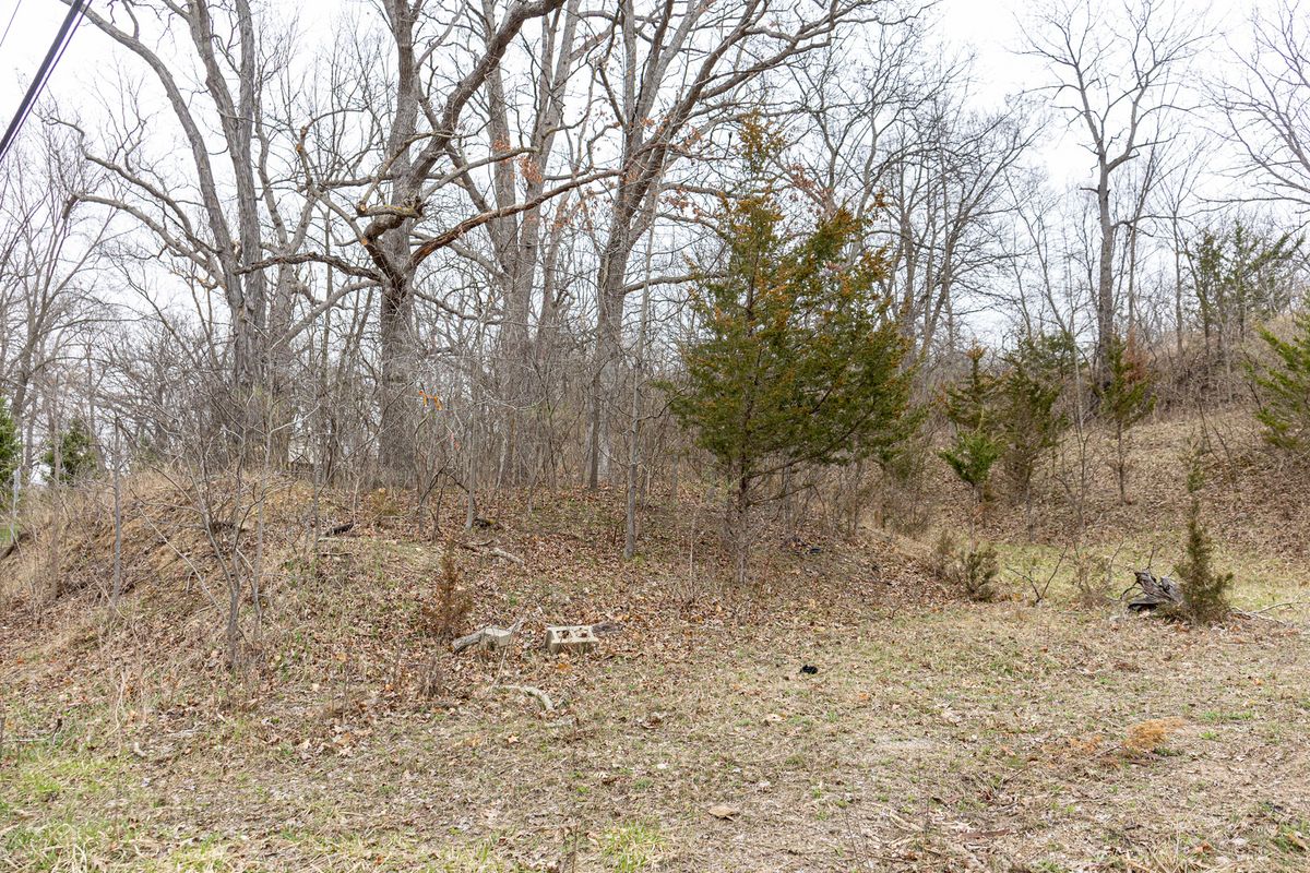 LOT 19 & LOT 18 Williams Road, Lake Marian, IL 60110