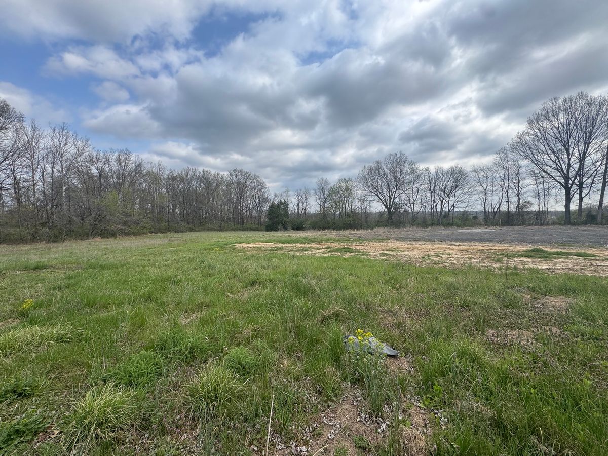 900 Old Route 146 Loop, Vienna, IL 62995