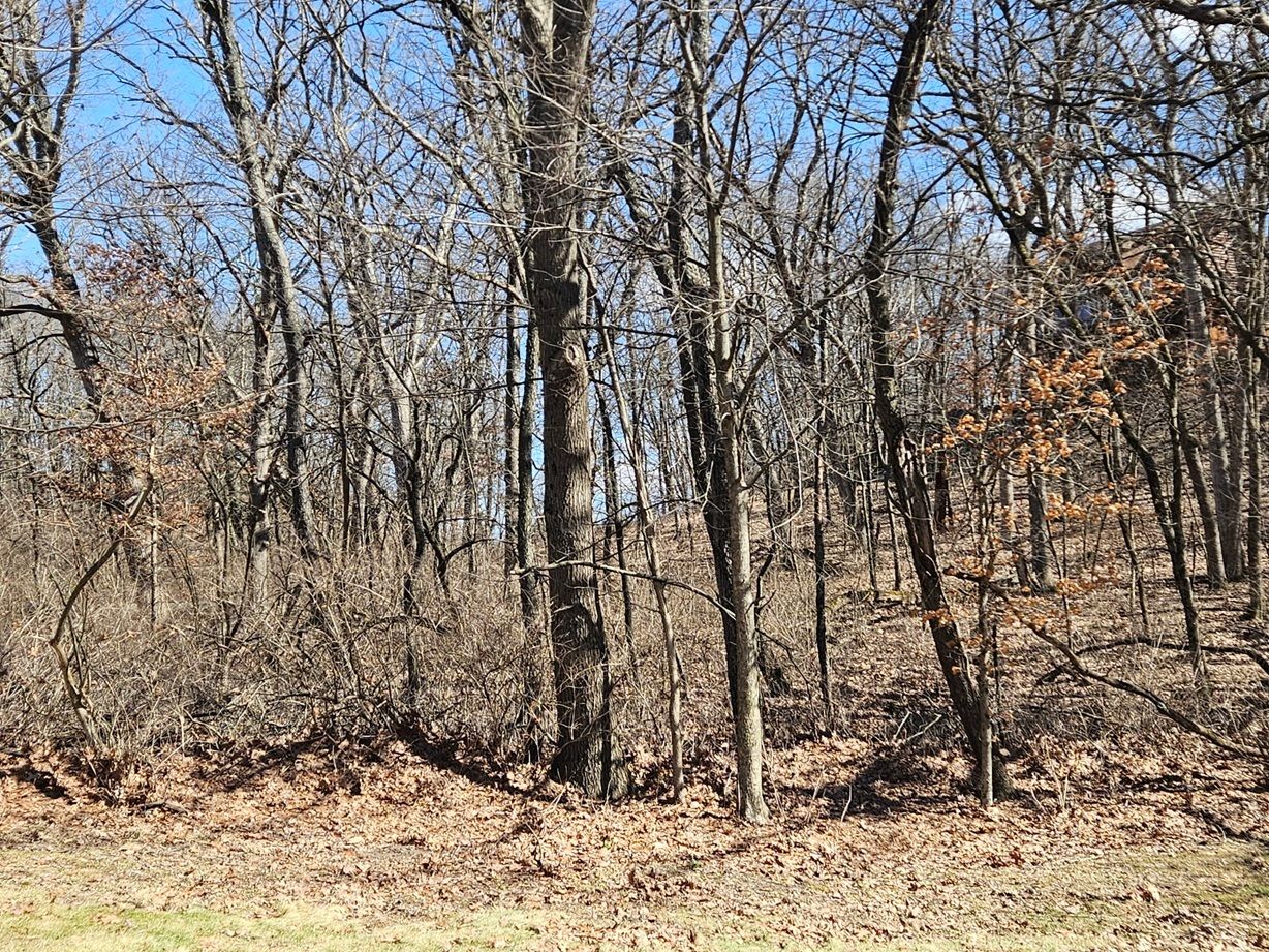 1302 Beech Lane — Dixon, IL 61021
